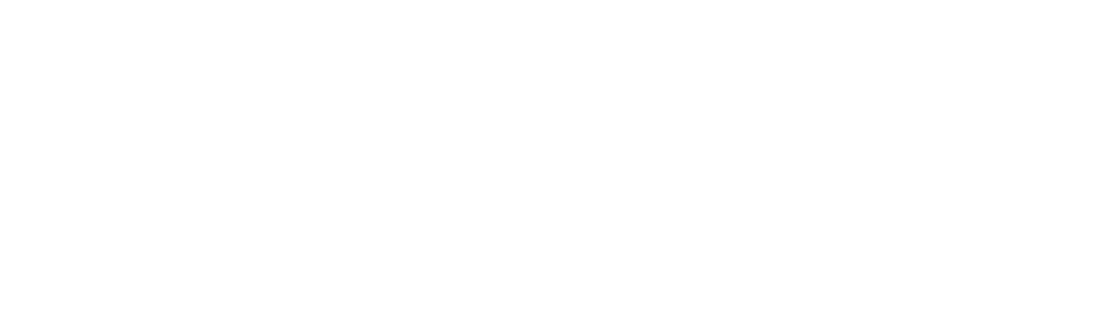 Zoho CRM Plus