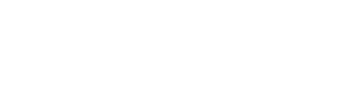 Zoho People Plus